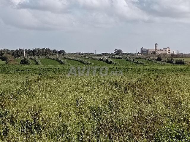 Propriété vente à El Ma, Gharb-Chrarda-Beni Hssen