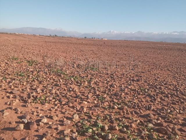 Terrain vente à Marrakech, L'Oriental
