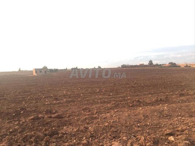 Propriété vente à El Ma, Gharb-Chrarda-Beni Hssen