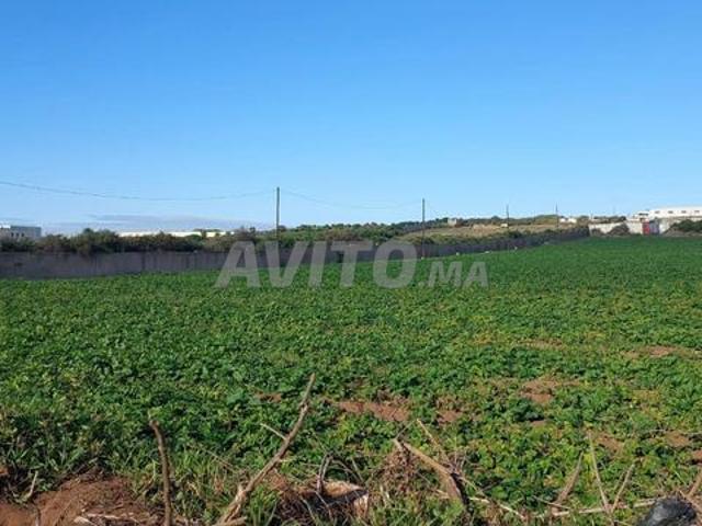 Propriété vente à Salé