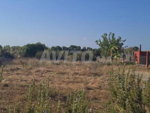 Propriété vente à El Ma, Gharb-Chrarda-Beni Hssen