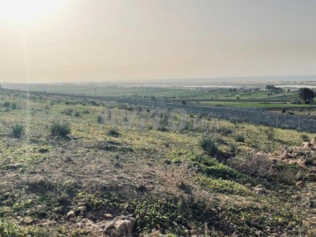 Propriété vente à El Ma, Gharb-Chrarda-Beni Hssen