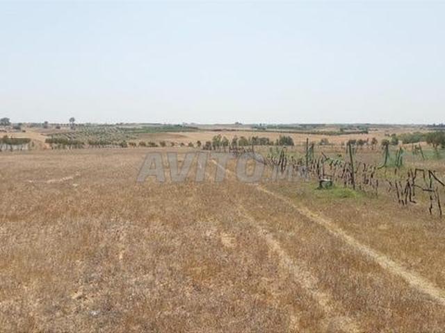 Propriété vente à Salé