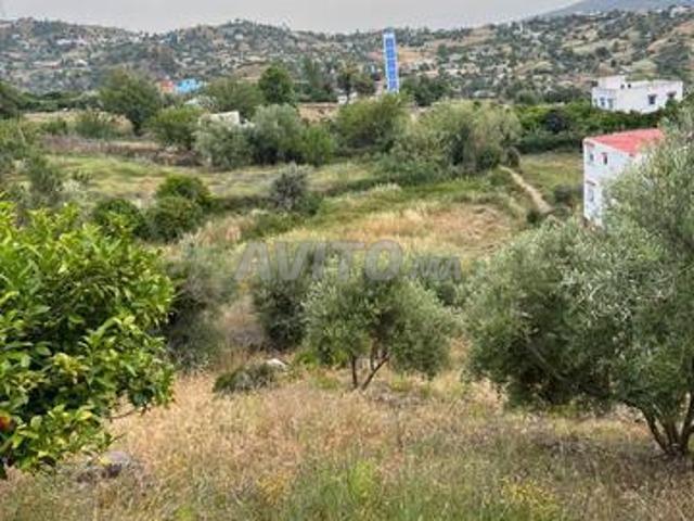 Propriété vente à Chauen, Tanger-Tétouan