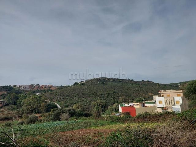 Terrain vente à Tangero, Tanger-Tétouan
