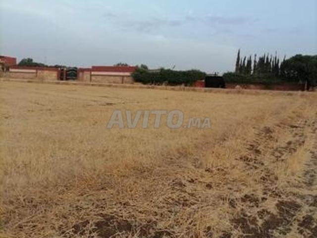 Propriété vente à Slimane, Gharb-Chrarda-Beni Hssen