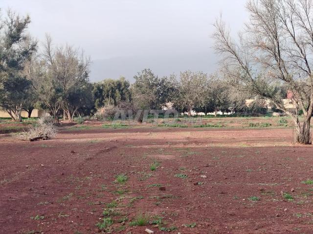 Propriété vente à Agadir, Oued ed Dahab-Lagouira