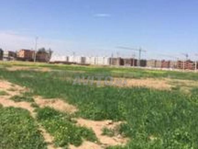 Propriété vente à Sidi Youssef Ben Ali, Marrakech
