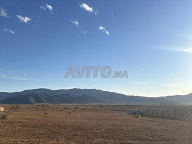 Propriété vente à Berkane