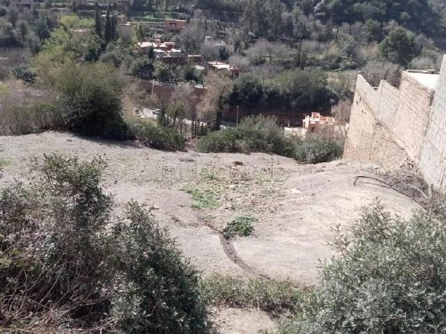 Terrain vente à Al Haouz, L'Oriental