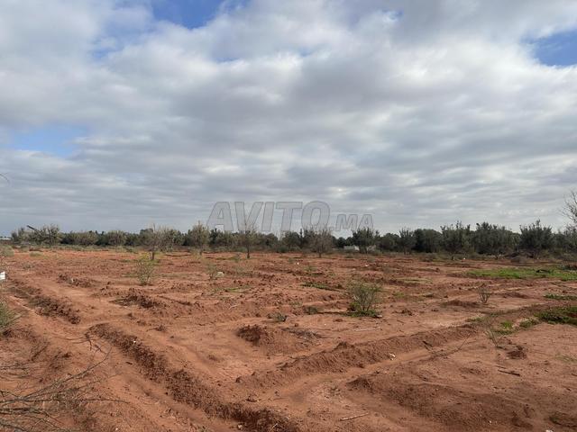 Propriété vente à Taroudant, Oued ed Dahab-Lagouira
