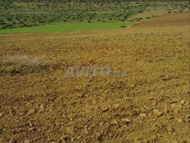 Propriété vente à Anfa, Gharb-Chrarda-Beni Hssen