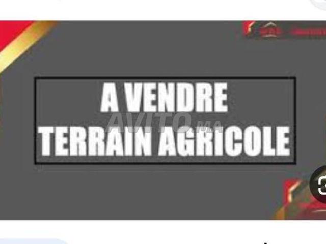 Propriété vente à Tiznit, Oued ed Dahab-Lagouira