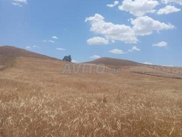 Propriété vente à Benslimane بن سليمان, Province de Benslimane إقليم بن سليمان