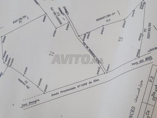 Propriété vente à Oued ed Dahab-Lagouira