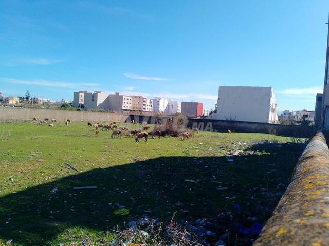 Propriété vente à Tétouan, Tanger-Tétouan