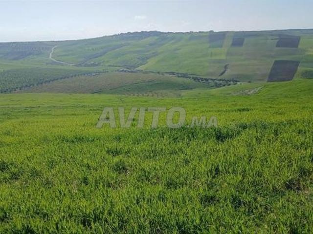 Propriété vente à Ain Beida, Tanger-Tétouan