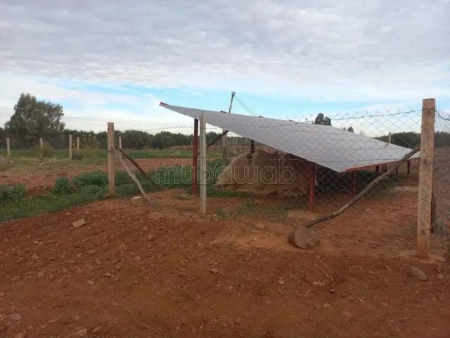 Ferme vente à L'Oriental