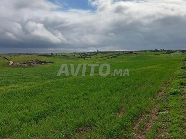 Propriété vente à Salé