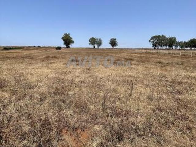Propriété vente à El Ma, Gharb-Chrarda-Beni Hssen