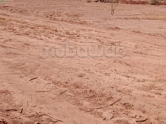Terrain vente à Ouled, Oued ed Dahab-Lagouira