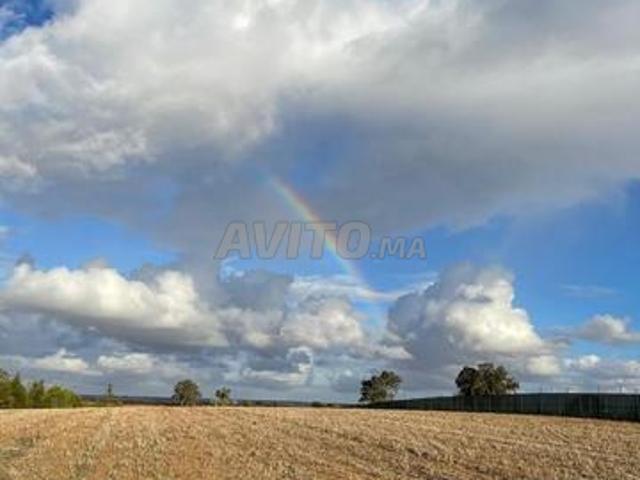 Propriété vente à Ar Rommani