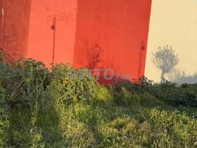 Propriété vente à Assilah, Tanger-Tétouan