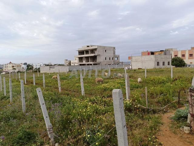 Propriété vente à Tanger-Tétouan