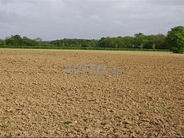 Propriété vente à Dar Bouazza, Gharb-Chrarda-Beni Hssen