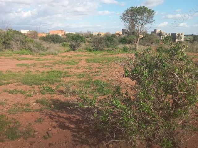 Terrain vente à Ouled, Oued ed Dahab-Lagouira