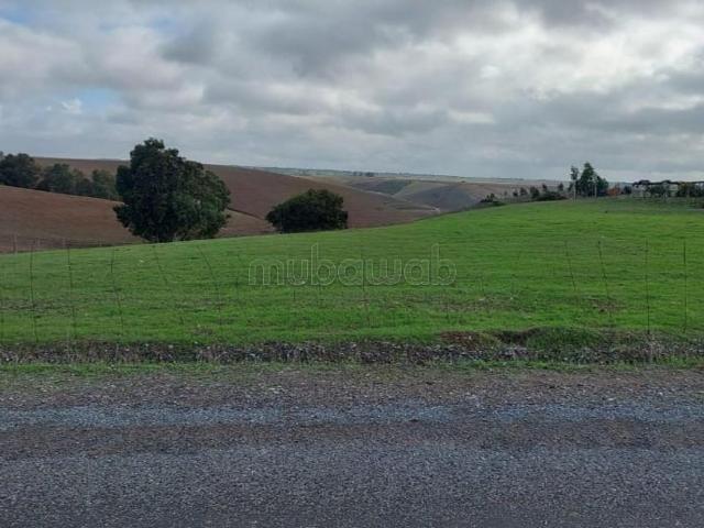 Terrain vente à Salé
