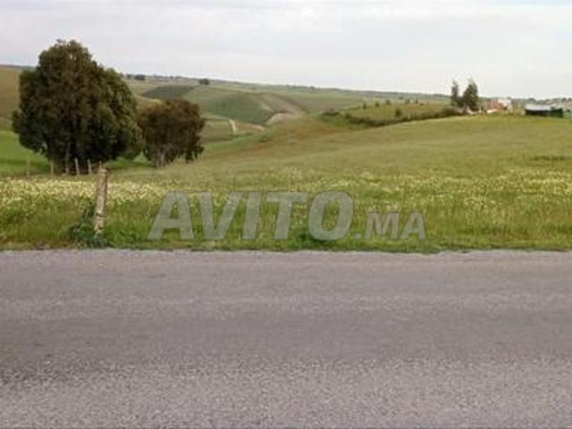 Propriété vente à Salé