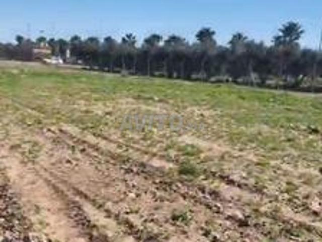 Propriété vente à L'Oriental