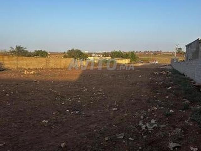 Propriété location à Berrechid, Gharb-Chrarda-Beni Hssen