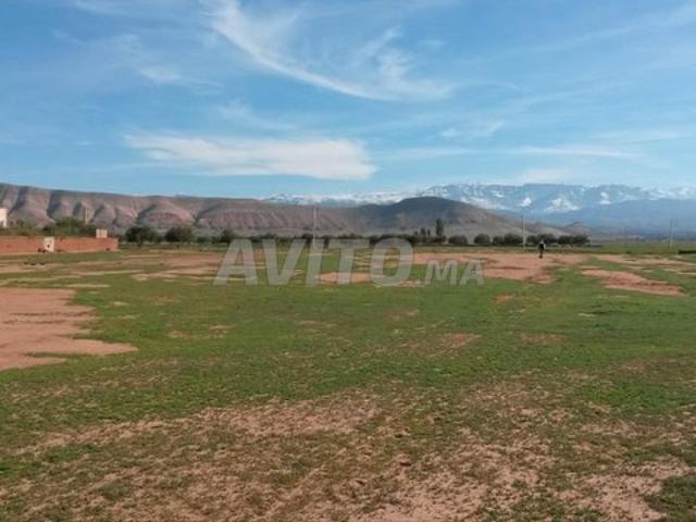 Propriété vente à Ouarzazate