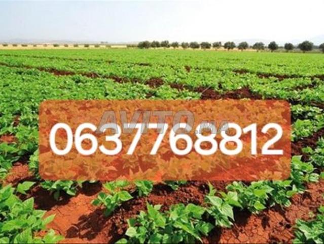 Propriété vente à El Ma, Gharb-Chrarda-Beni Hssen