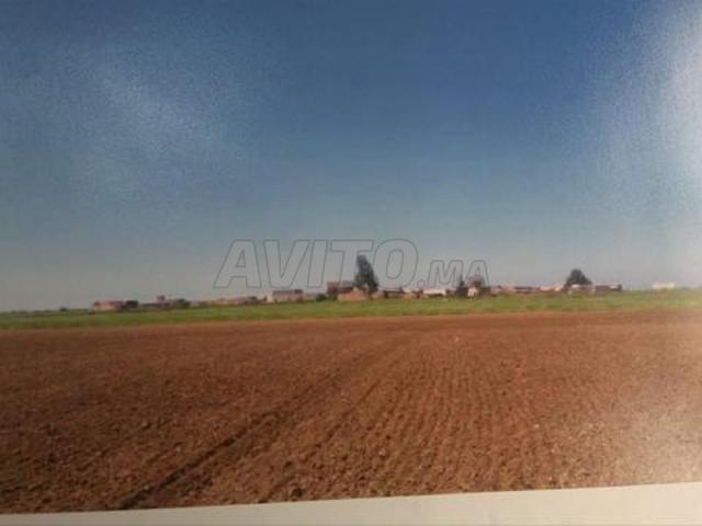 Propriété vente à Sidi Bennour, Gharb-Chrarda-Beni Hssen