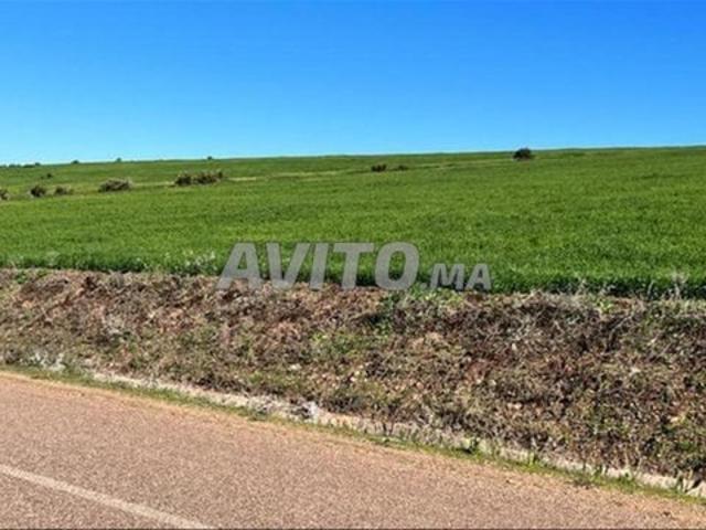 Propriété vente à Berrechid برشيد, Province de Berrechid إقليم برشيد