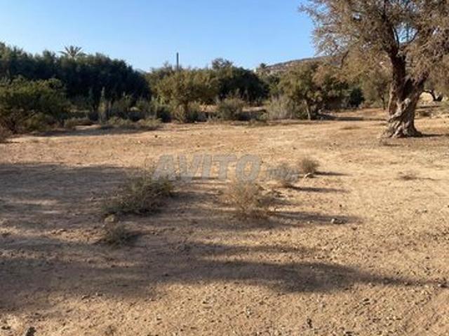 Propriété vente à Aït Melloul, Oued ed Dahab-Lagouira