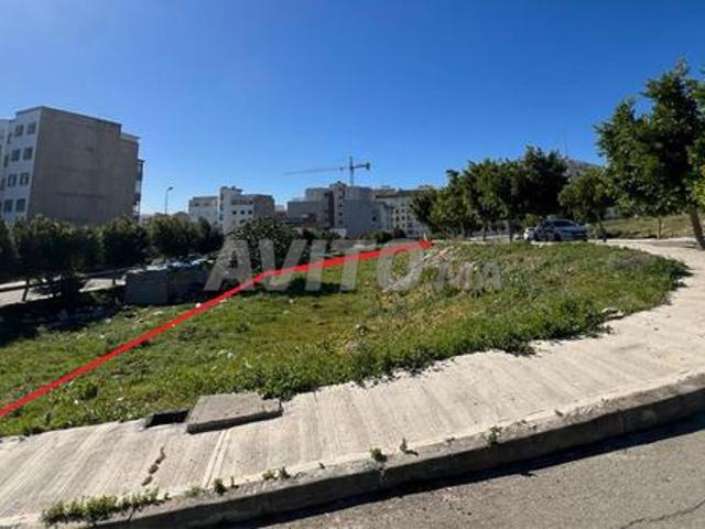 Propriété vente à Centre Ville