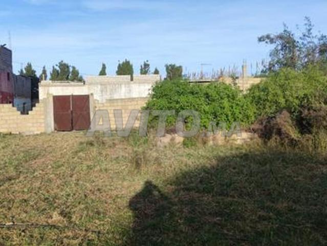 Propriété vente à El Ma, Gharb-Chrarda-Beni Hssen