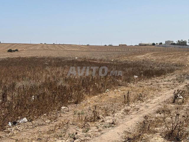 Propriété vente à Mediouna, Gharb-Chrarda-Beni Hssen