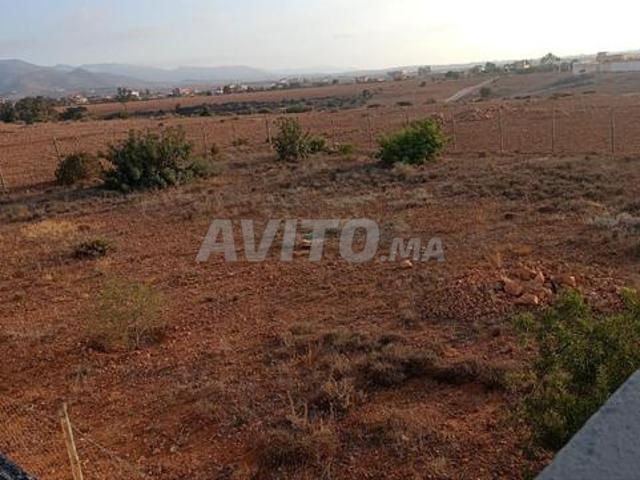 Propriété vente à Berkane