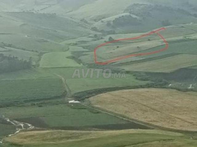 Propriété vente à Larache, Tanger-Tétouan