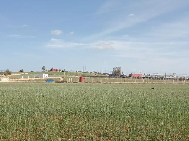 Terrain vente à Had Soualem, Chaouia-Ouardigha