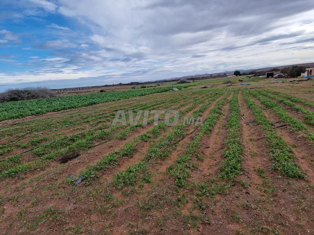 Propriété vente à Berkane
