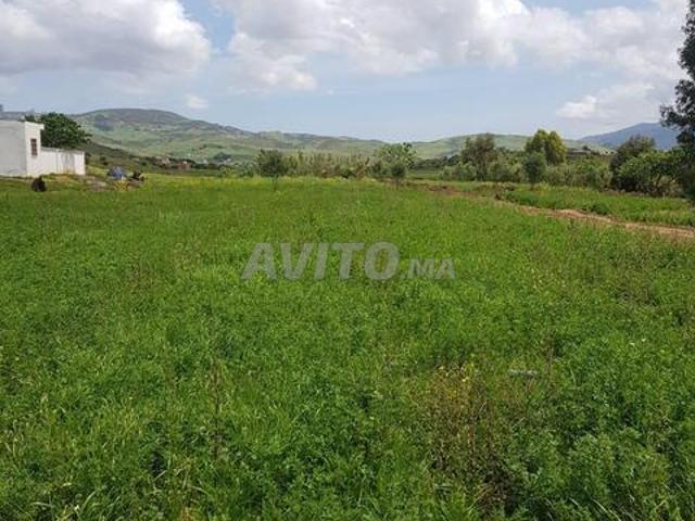 Propriété vente à Tétouan, Tanger-Tétouan