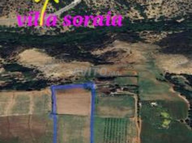 Propriété vente à Rbat