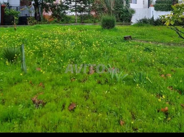 Propriété vente à El Ma, Gharb-Chrarda-Beni Hssen
