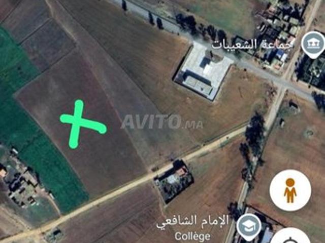 Propriété vente à El Ma, Gharb-Chrarda-Beni Hssen